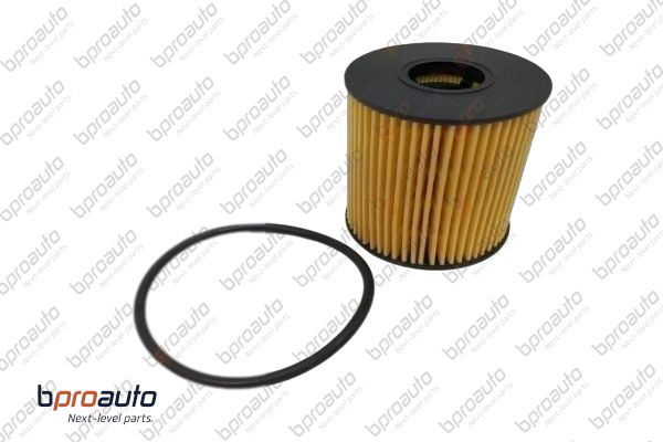 Oil Filter (1BP31407AA)