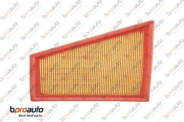 Air Filter (1BP31219AA)