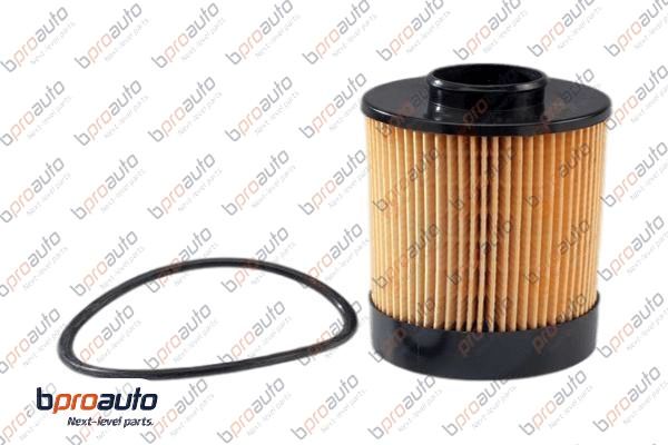 Fuel Filter (1BP31381AA)
