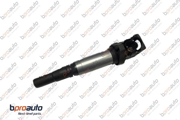 Ignition Coil (1BP30315AA)