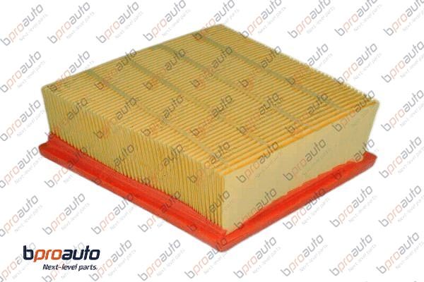 Air Filter (1BP31277AA)