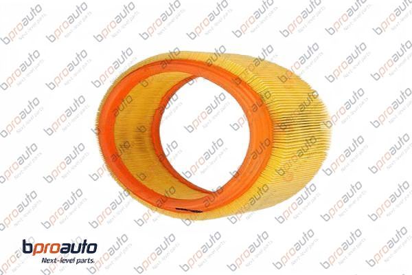 Air Filter (1BP31314AA)