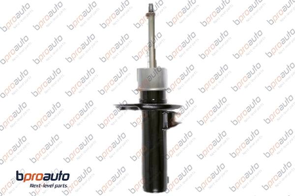 Shock Absorber (1BP30094AA)