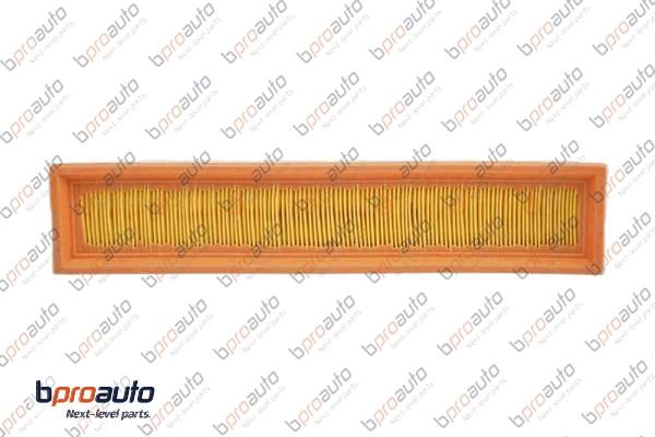 Air Filter (1BP31234AA)