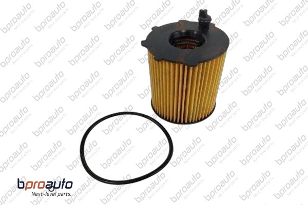 Oil Filter (1BP31449AA)