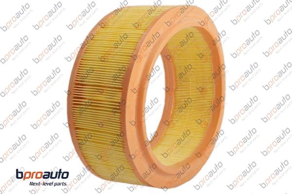 Air Filter (1BP31239AA)