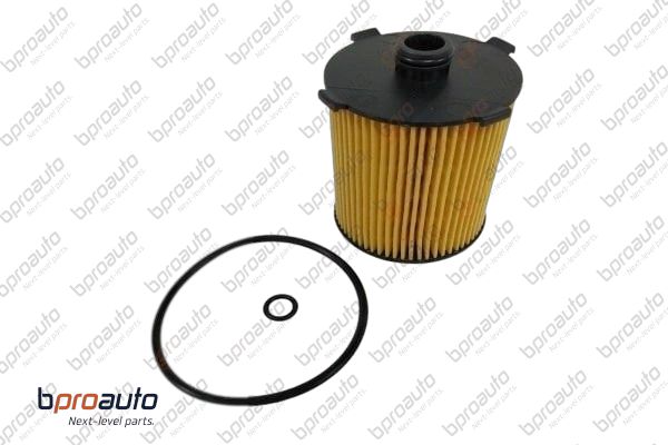 Oil Filter (1BP31451AA)