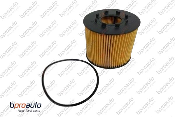 Oil Filter (1BP31442AA)