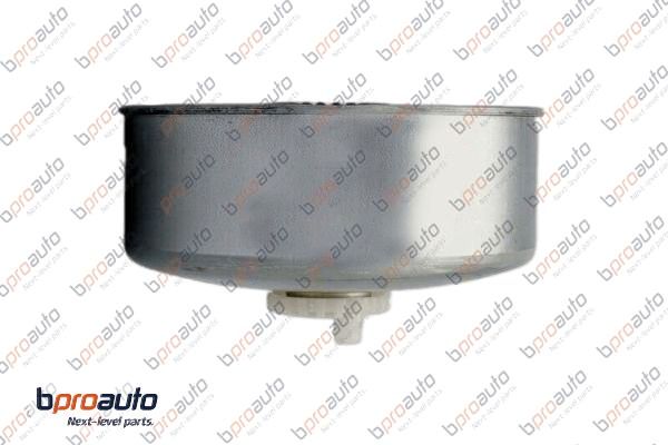 Fuel Filter (1BP31394AA)