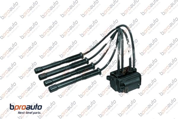 Ignition Coil (1BP30304AA)