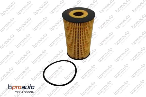 Oil Filter (1BP31441AA)