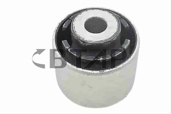 Mounting, control/trailing arm (BVC303-061)