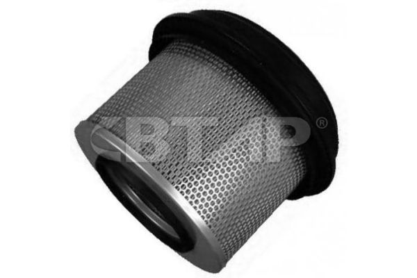 Air Filter (BME301-070)