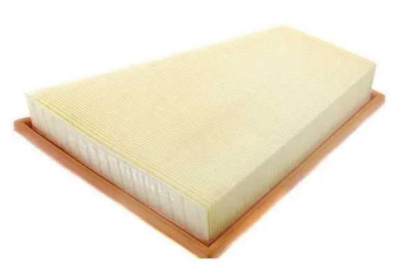 Air Filter (BBE301-026)