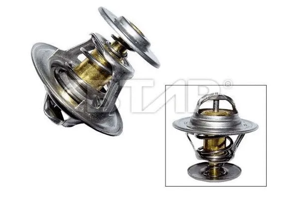 Thermostat, coolant (BVE902-004)