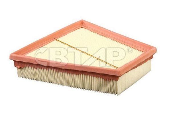 Air Filter (BVE301-041)