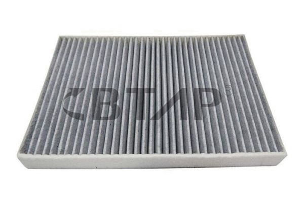 Air Filter (BVE301-007)