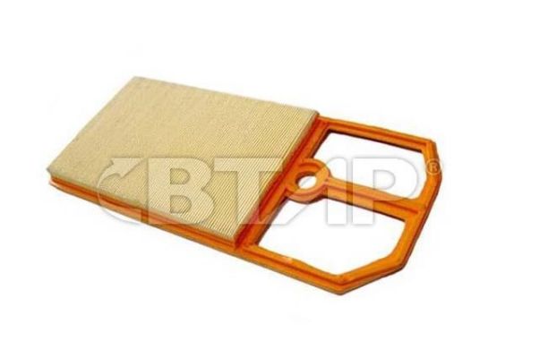 Air Filter (BVE301-017)