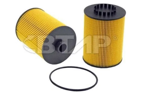 Oil Filter (BVE101-002)