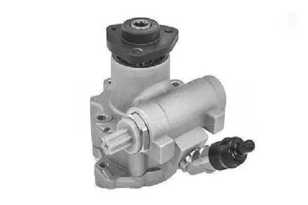 Hydraulic Pump, steering (BBC410-003)