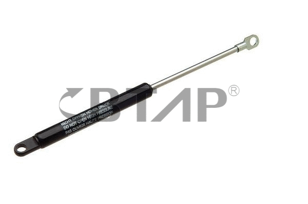 Gas Spring (BBB109-022)