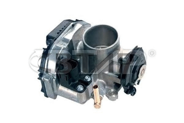 Throttle Body (BVE313-001)