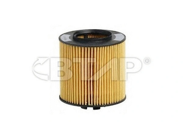 Oil Filter (BVE101-241)