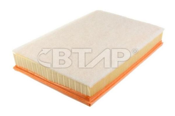 Air Filter (BVE301-031)