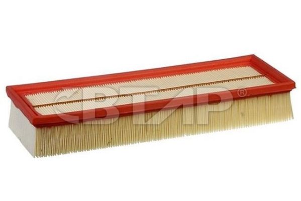 Air Filter (BVE301-019)