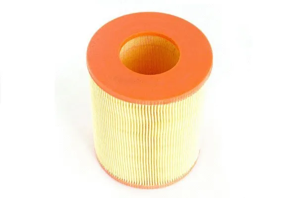 Air Filter (BME301-025)