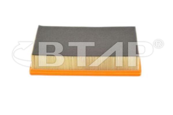 Air Filter (BVE301-043)