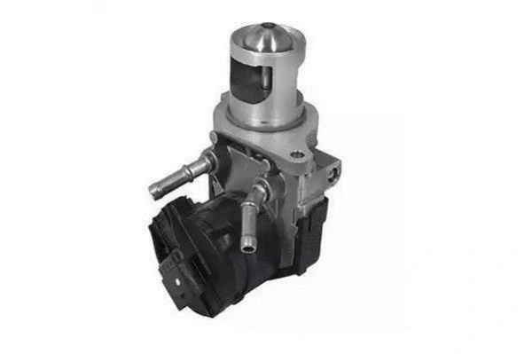 EGR Valve (BBE311-011)