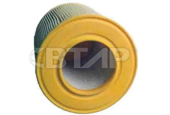 Air Filter (BVE301-259)