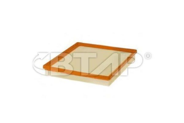Air Filter (BME301-040)
