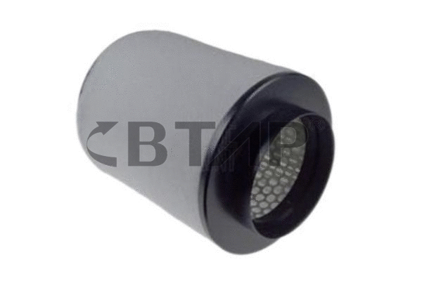 Air Filter (BVE301-016)