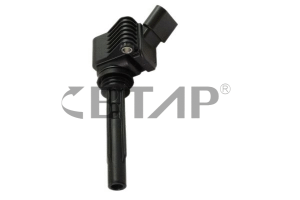 Ignition Coil (BVE405-009)