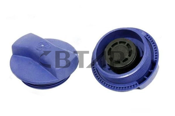 Cap, coolant tank (BVE909-004)