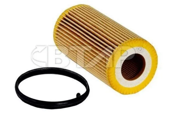 Oil Filter (BVE101-001)