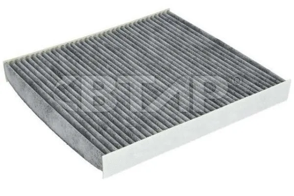 Filter, cabin air (BVB131-019)