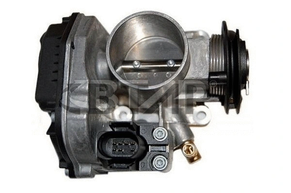 Throttle Body (BVE313-008)