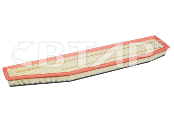Air Filter (BBE301-024)