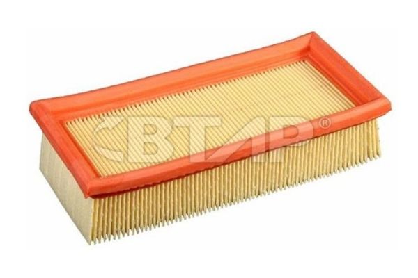 Air Filter (BVE301-022)