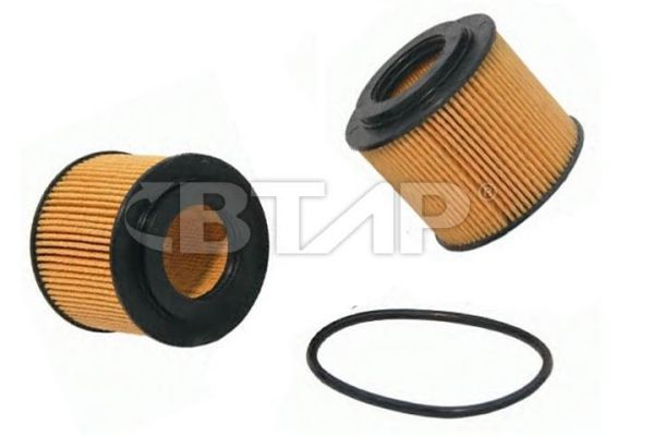 Oil Filter (BVE101-011)