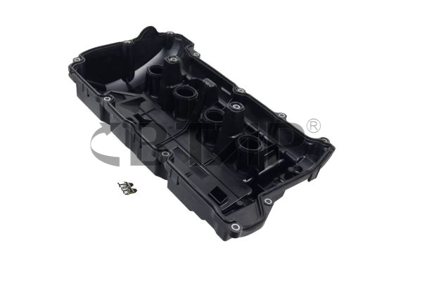 Cylinder Head (BBE316-010)