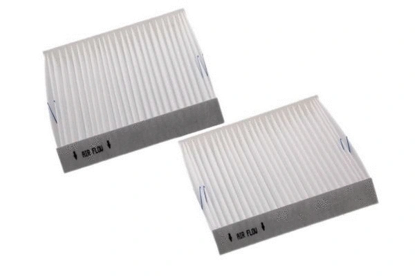 Air Filter (BBE301-048)