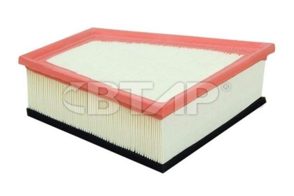 Air Filter (BVE301-036)