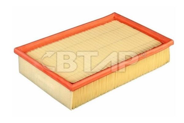 Air Filter (BVE301-011)