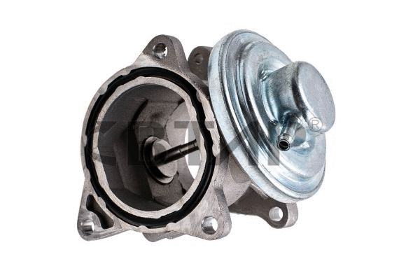 EGR Valve (BVE311-003)