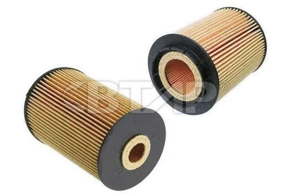 Oil Filter (BVE101-280)