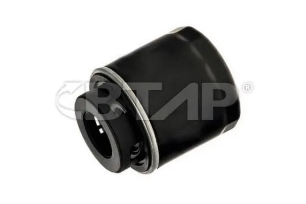 Oil Filter (BVE101-020)